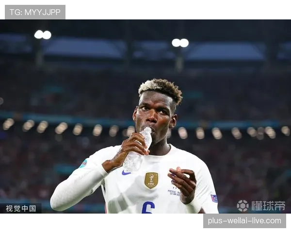 博格巴与德布劳内组织核心角色下的球权分配与推进路径差异解析