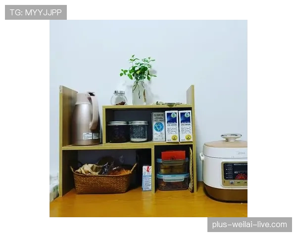 史梦瑶晒居家照，厨房那套器皿把我的租房氛围直接灭了