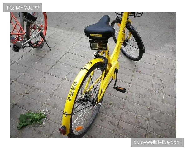 梁伟铿训练完直接去提了辆大G，教练还在骑共享单车