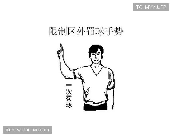 篮球规则详解：空中对抗判罚的依据与尺度解析